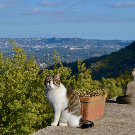 Amoureux Du Calme Et De La Nature Tanneron エクステリア 写真