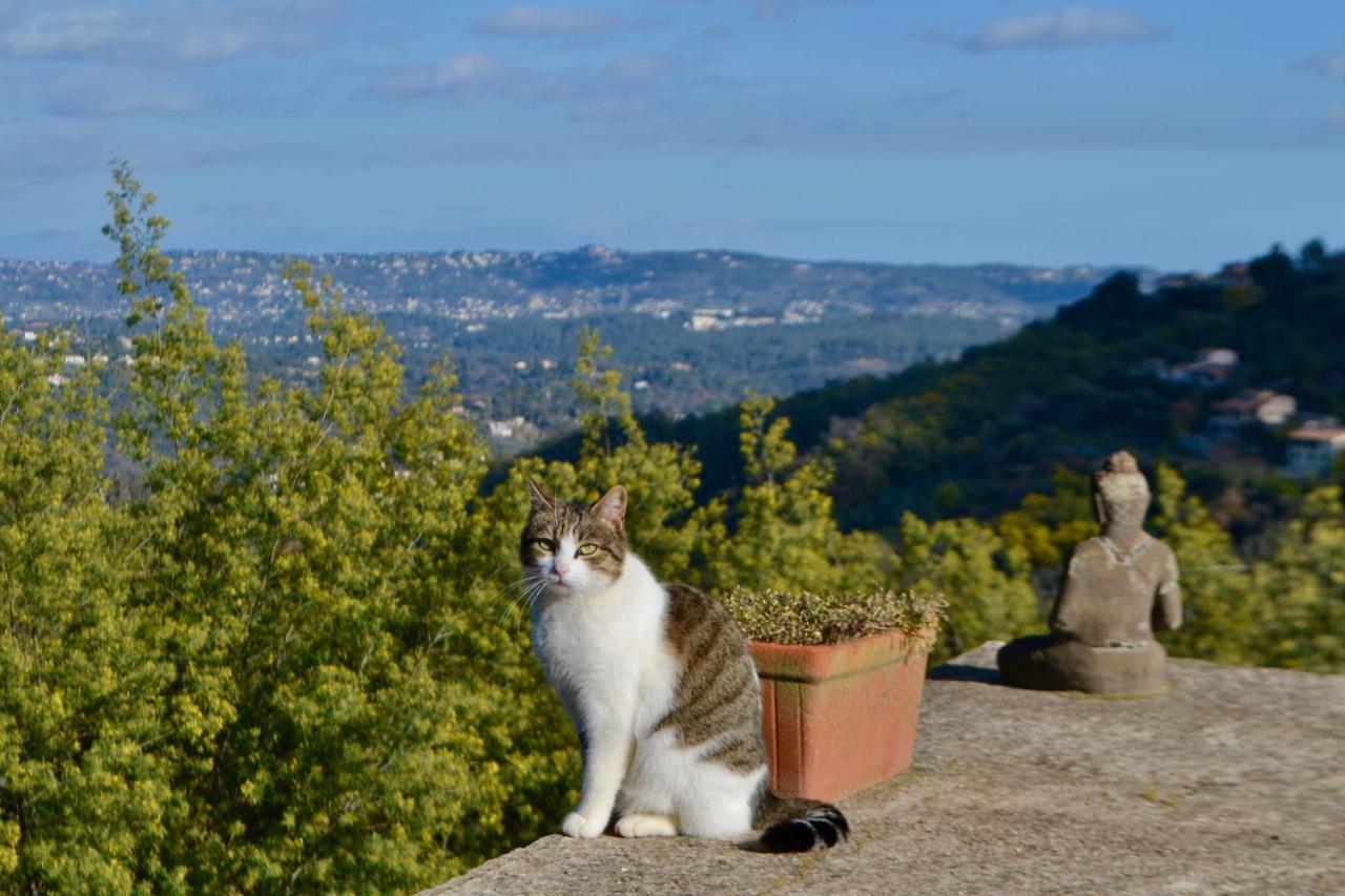 Amoureux Du Calme Et De La Nature Tanneron エクステリア 写真